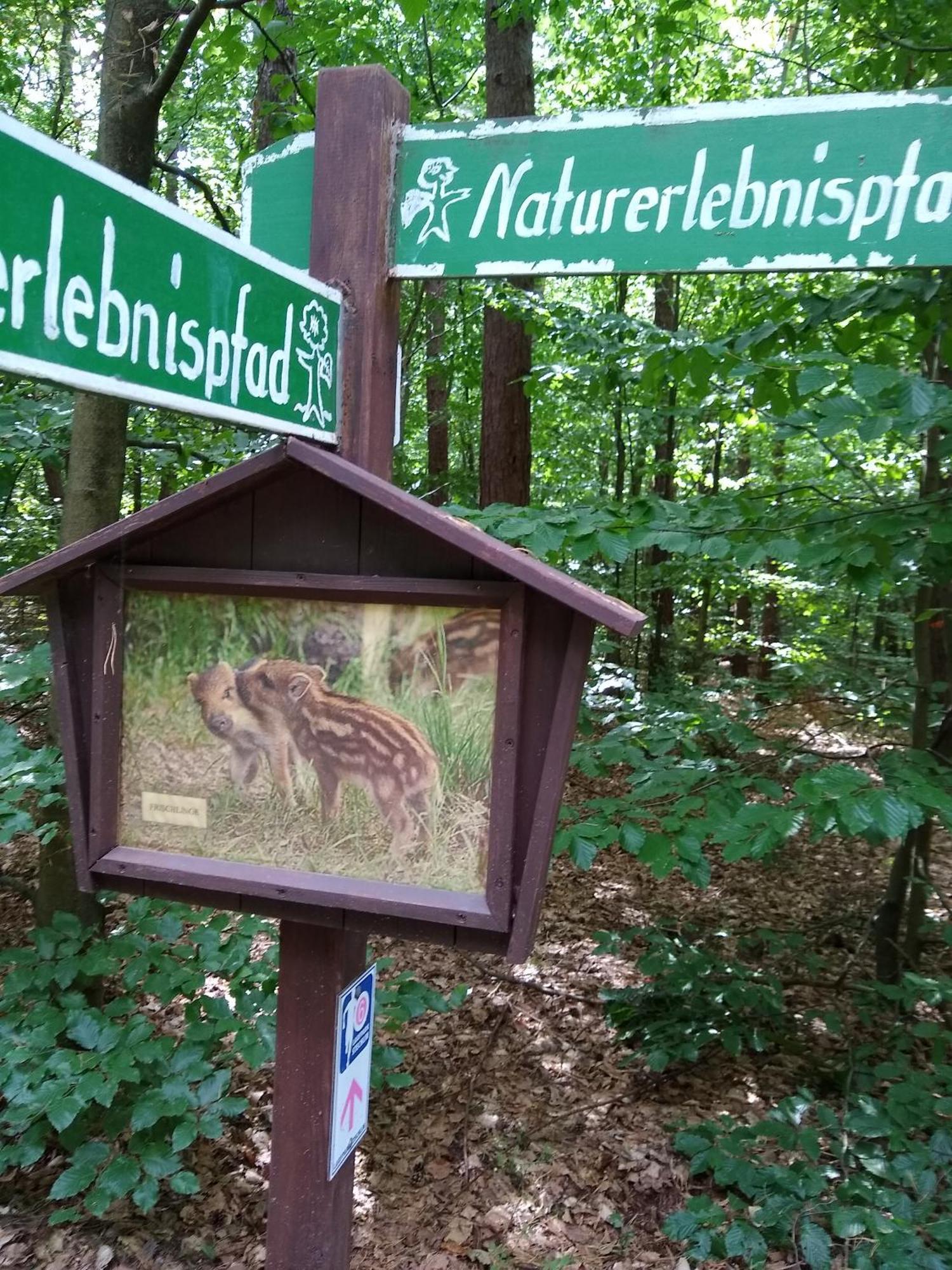 Zwei Seen Ferienhaus Canow Екстериор снимка
